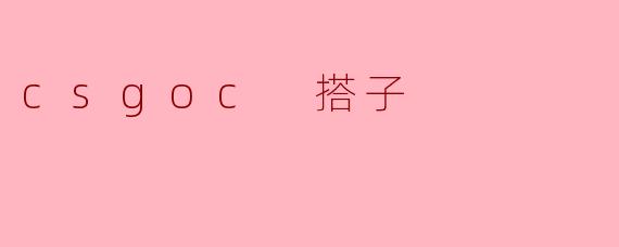csgoc 搭子